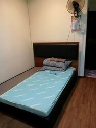 Sembawang Park (D27), Semi-Detached #562189051